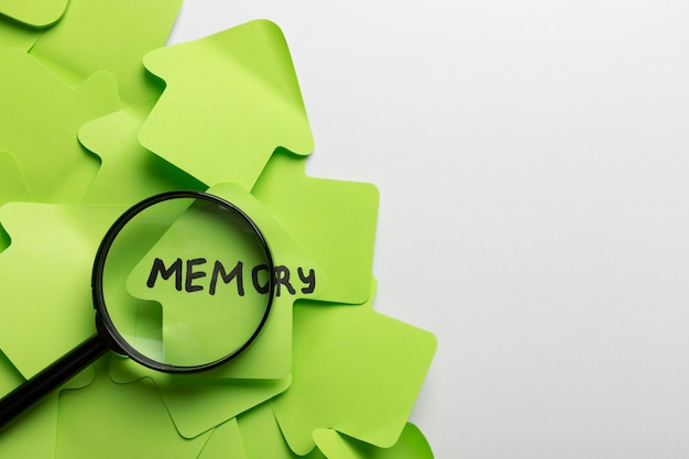 Mejora tu memoria: técnicas, estrategias y consejos prácticos