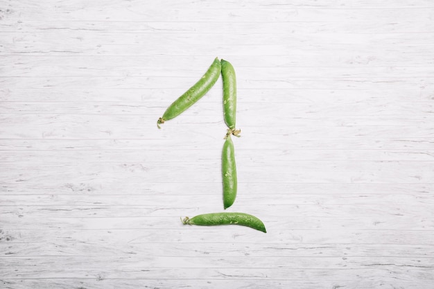 Los tallos: estructura, funciones y importancia en las plantas 4 Los tallos: estructura, funciones y importancia en las plantas