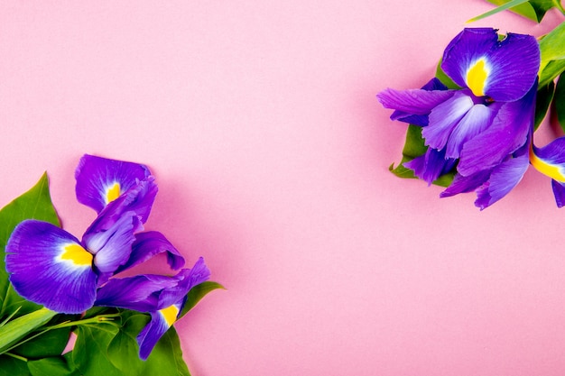 El amor de Violeta Parra: Una historia de pasión y legado