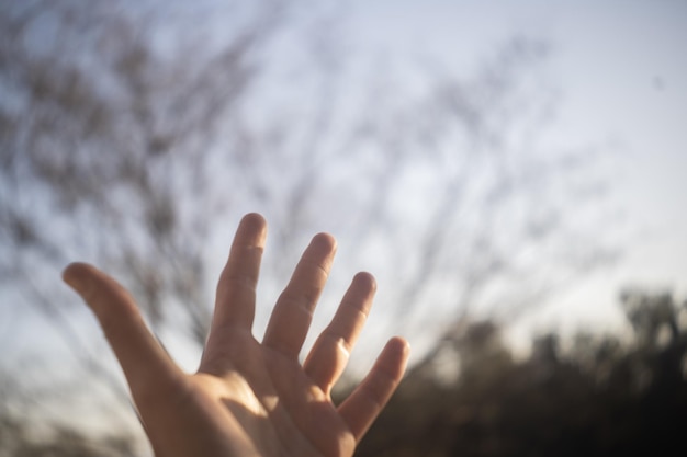 Explorando la sabiduría de libros inspiradores: El poder del ahora, El monje que vendió su Ferrari, El arte de amar, Mujeres que corren con los lobos