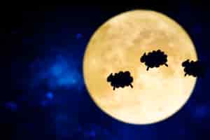 La Luna y su impacto en la salud masculina: del ciclo menstrual al estado de ánimo, sueño y fertilidad 2 La Luna y su impacto en la salud masculina: del ciclo menstrual al estado de ánimo, sueño y fertilidad