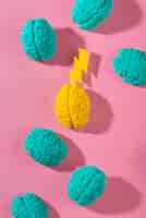 El papel de las estructuras cerebrales en el procesamiento emocional 2 El papel de las estructuras cerebrales en el procesamiento emocional