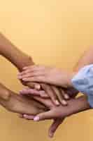 La Tolerancia: Construyendo la Paz Mundial