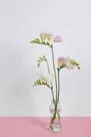 El tallo de una flor: estructura, función y crecimiento en las plantas