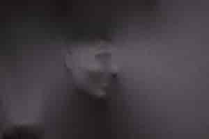 La complejidad del sentimiento humano: neurociencia y entorno social 2 La complejidad del sentimiento humano: neurociencia y entorno social