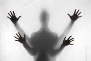 El impacto del miedo en el sistema nervioso y el cuerpo 1 El impacto del miedo en el sistema nervioso y el cuerpo